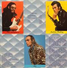 Roxy Music Roxy Music LP Plak