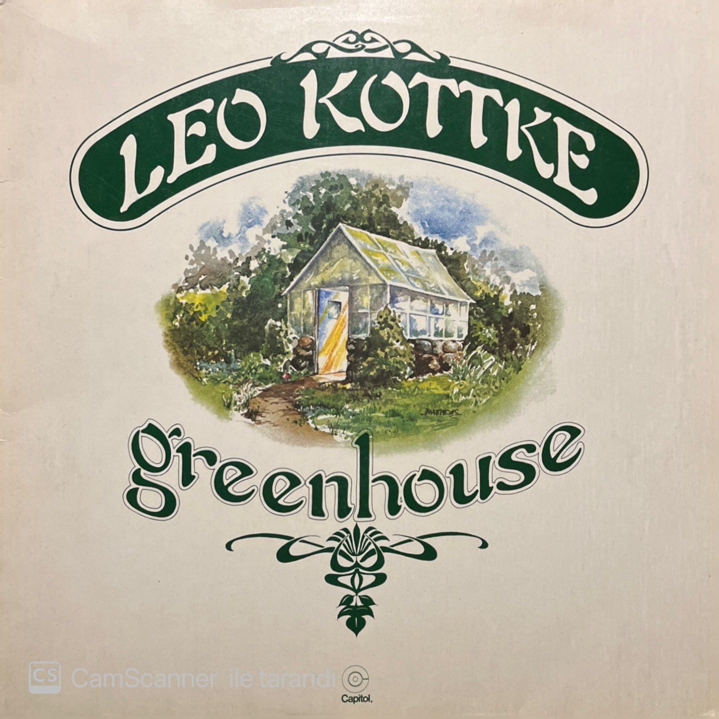 Leo Kottke Greenhouse LP Plak