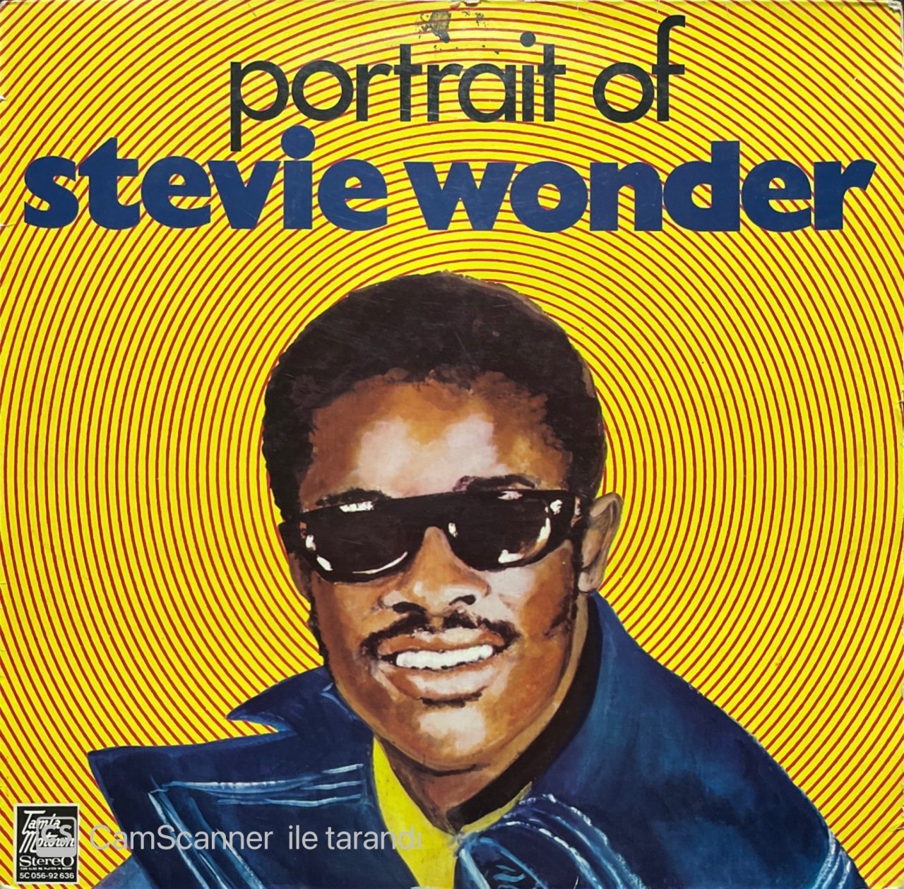 Portrait Of Stevie Wonder LP Plak