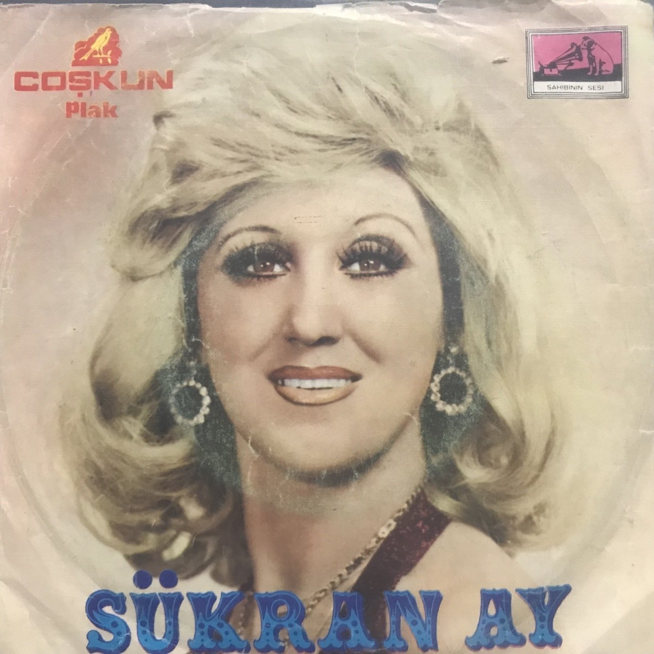 Şükran Ay Sevme Dediler Sevdim 45lik Plak