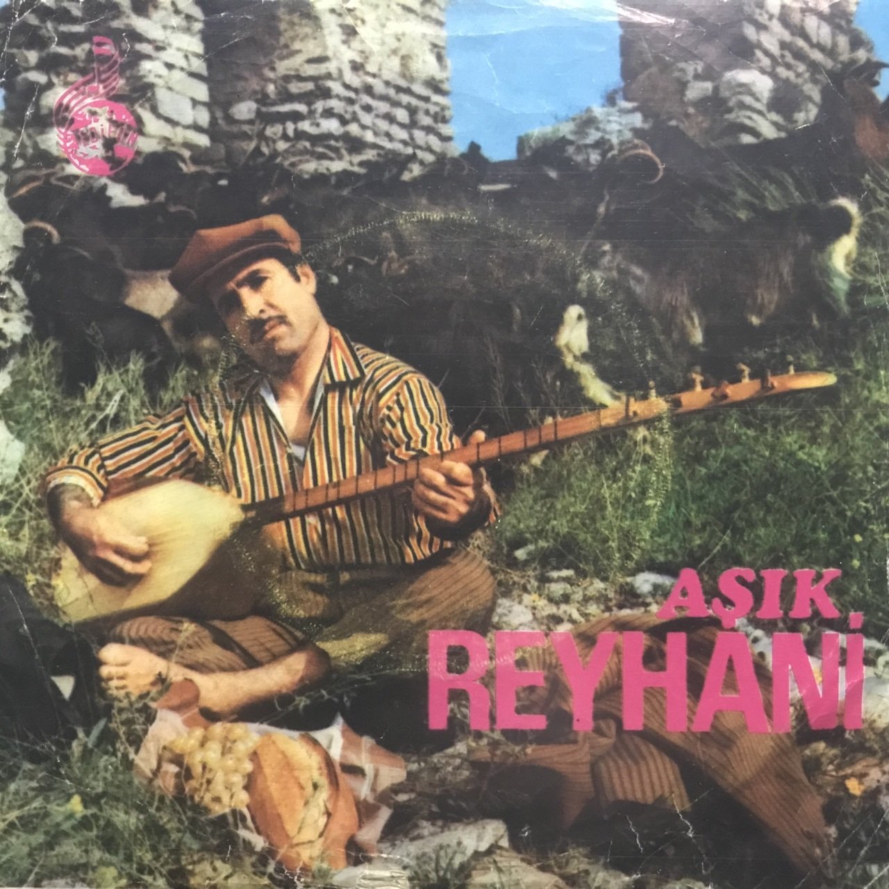 Aşık Yaşar Reyhani Şehir Kızları 45lik Plak