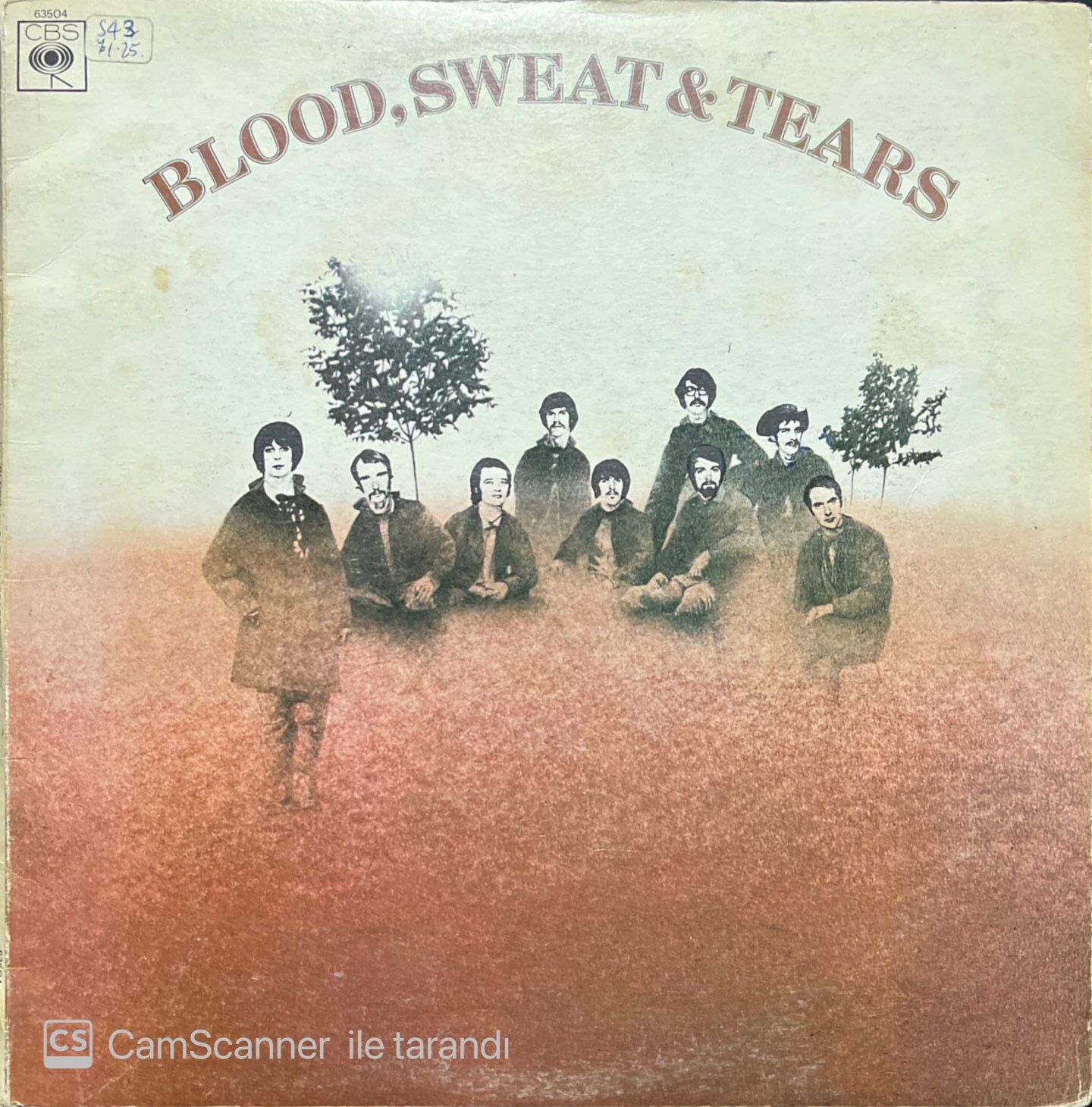 Blood Sweat & Tears LP Plak