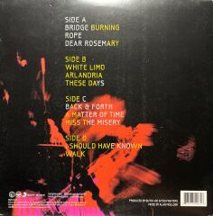 Foo Fighters Wasting Light Double LP Plak