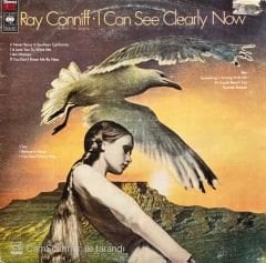Ray Conniff I Can See Clearly Now LP Plak