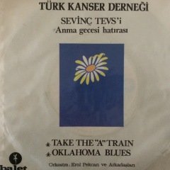 Sevinç Tevs Anma Gecesi 45lik Plak