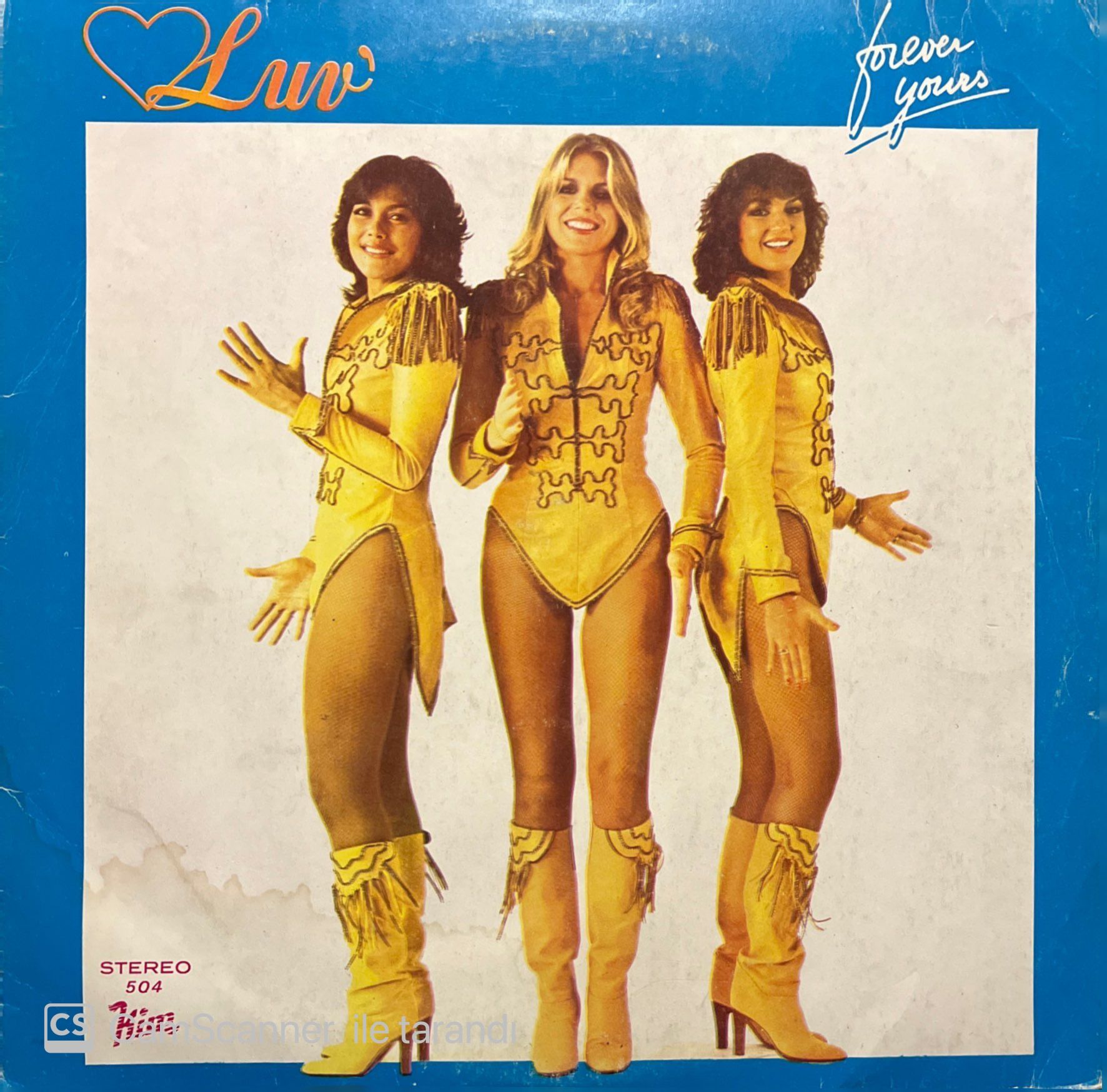 Luv' Forever Youngs LP Plak
