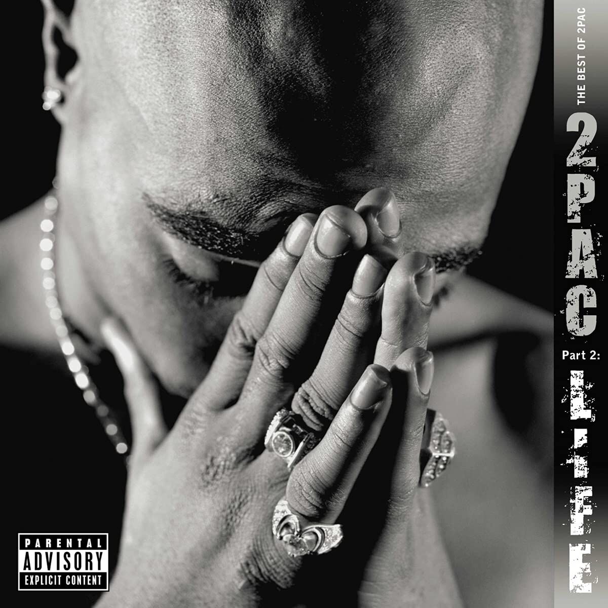 2pac Best Of 2Pac Pt 2: Life Double LP Plak