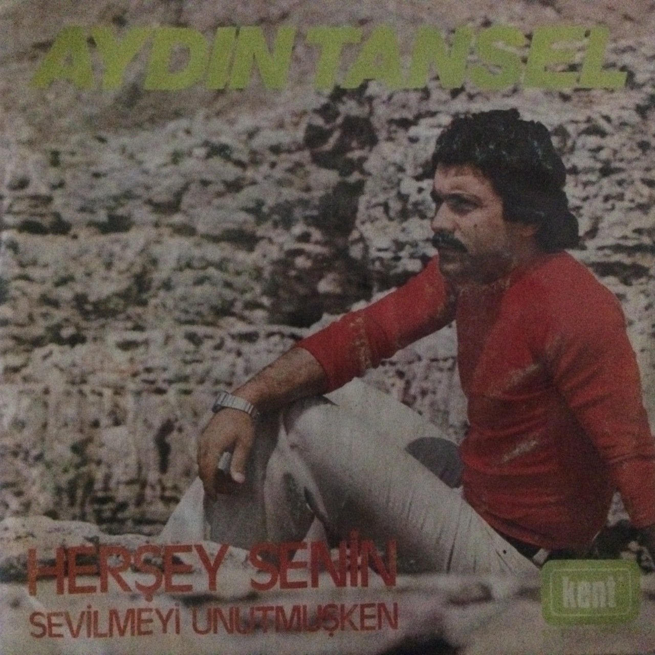 Aydın Tansel Sevilmeyi Unutmuşken Senin 45lik Plak