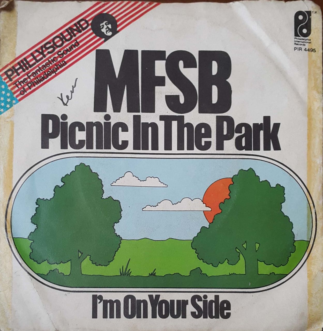 Mfsb Picnic İn The Park 45lik Plak