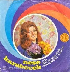 Neşe Karaböcek Eşsiz Sevgilim Benim 45lik Plak