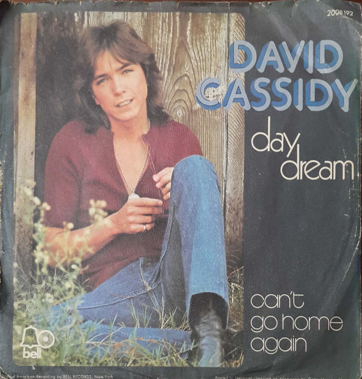 David Cassidy Day Dream 45lik Plak
