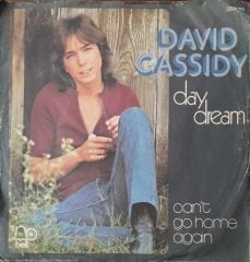 David Cassidy Day Dream 45lik Plak