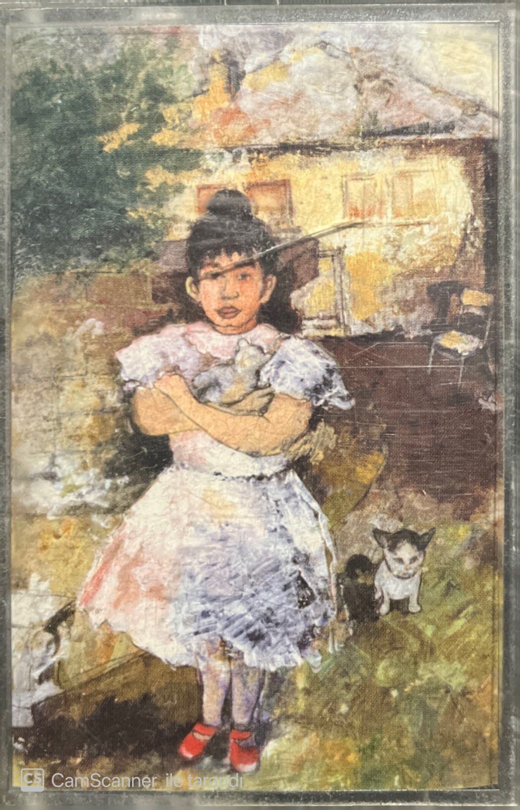 Sezen aksu Deli Kızın Türküsü Kaset