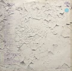 Cat Stevens The Beginning LP Plak