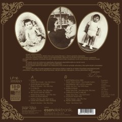 Ferdi Özbeğen Seviyorum Delicesine LP Plak