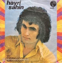 Hayri Şahin Ceylan Gözlüm 45lik Plak