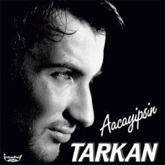 Tarkan Aacayipsin LP Plak