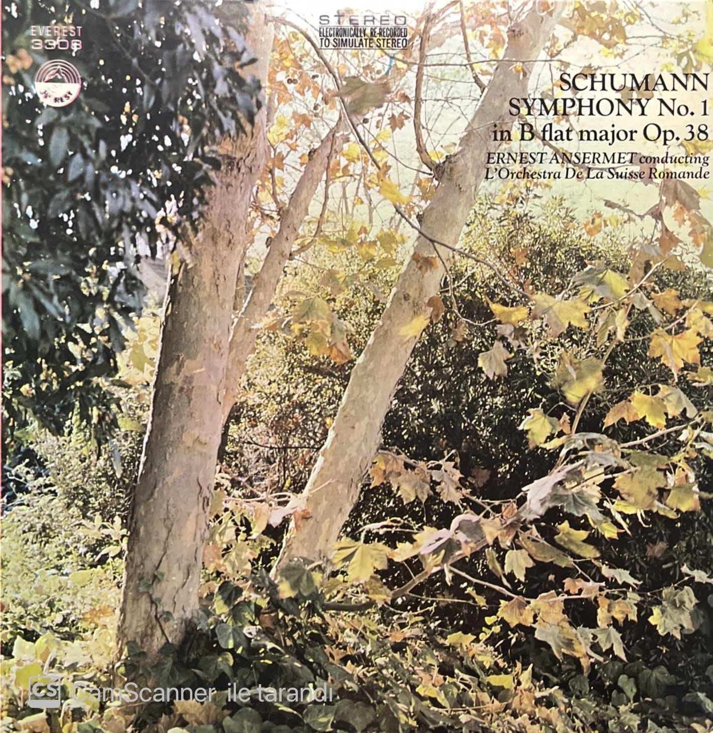 Schumann Symphony No.1 LP Plak