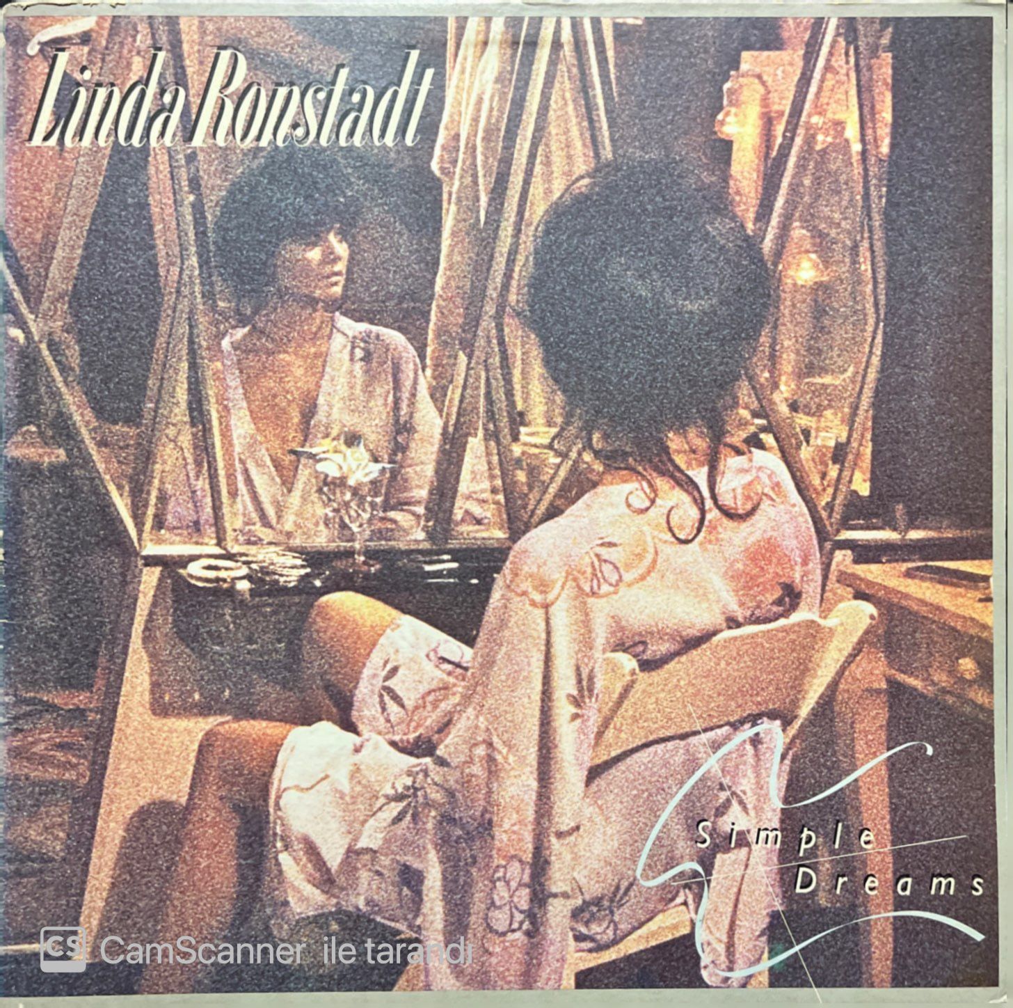 Linda Ronstadt Simple Dreams LP Plak