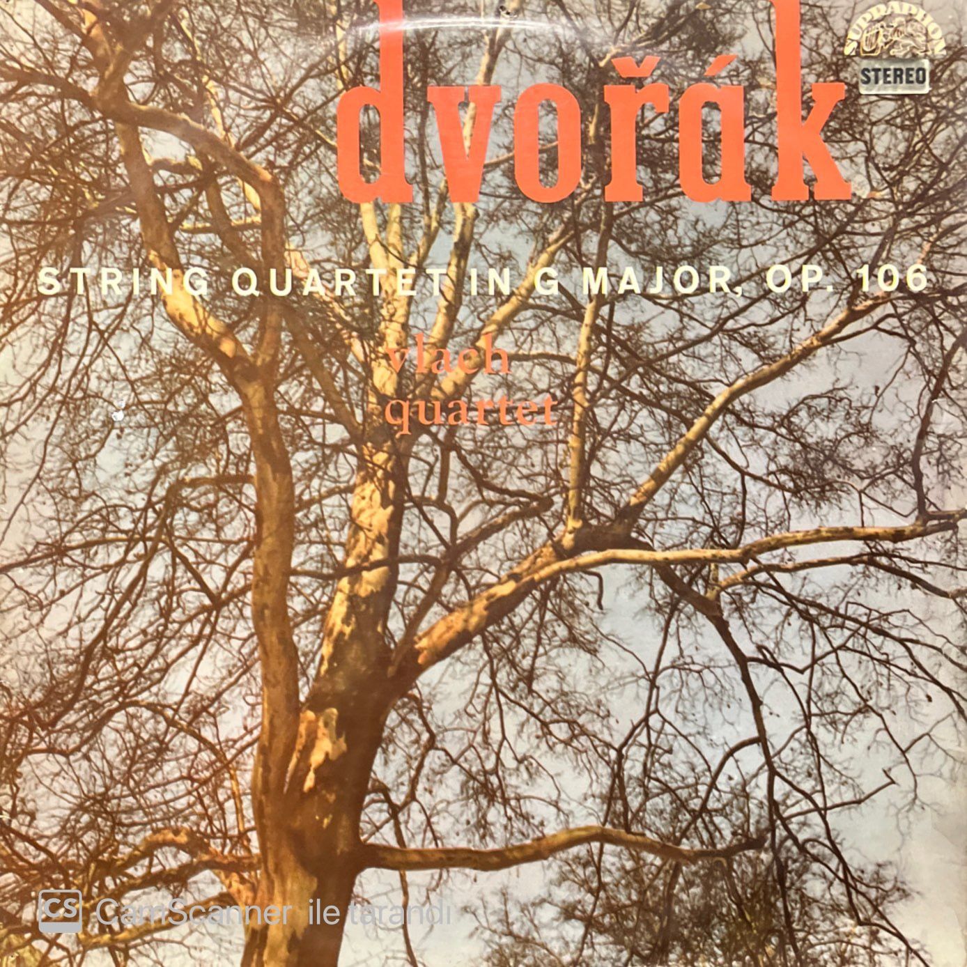 Dvorak String Quartet In G Major, Op.106 LP Plak