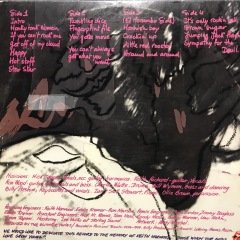 The Rolling Stones Love You Live Çift LP Plak