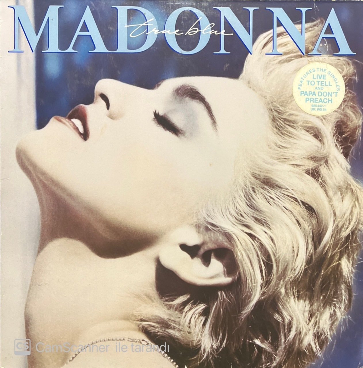 Madonna True Blue LP Plak