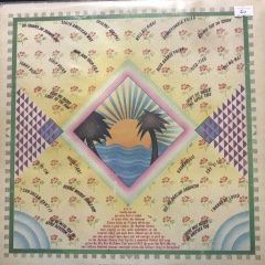The Best Of The Anrews Sisters Çift LP Plak