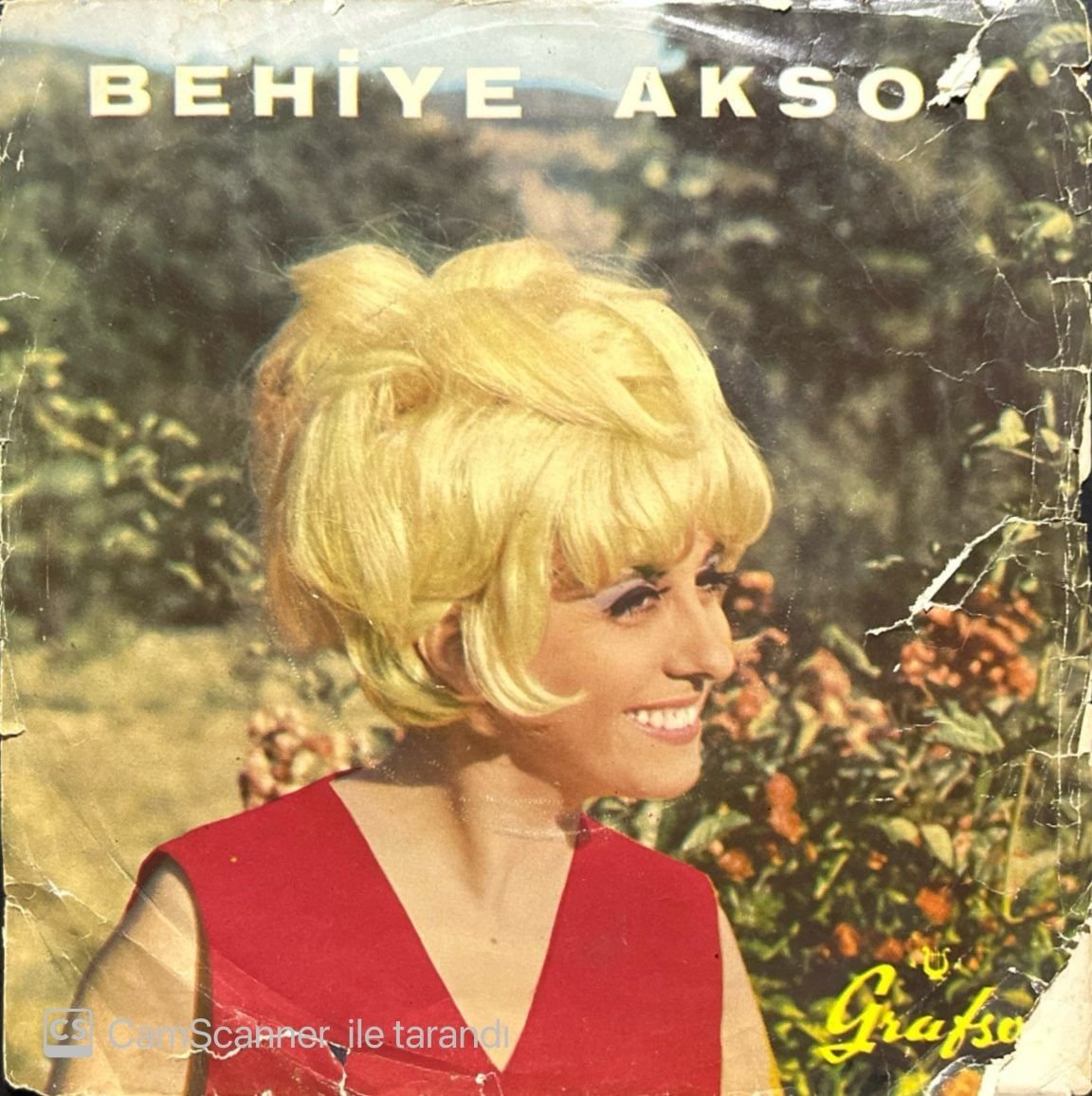 Behiye Aksoy Bülbülün Çilesi 45lik Plak