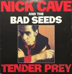 Nick Cave And The Bad Seeds Tender Prev LP Plak