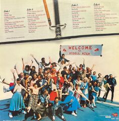 Grease Soundtrack Double LP Plak