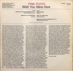 Pink Floyd Wish You Were Here LP Plak