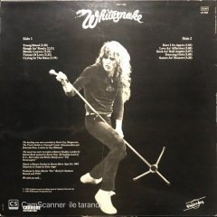 Whitesnake Saints An Sinners LP Plak