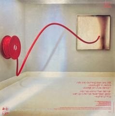 Robert Plant Pictures At Eleven LP Plak