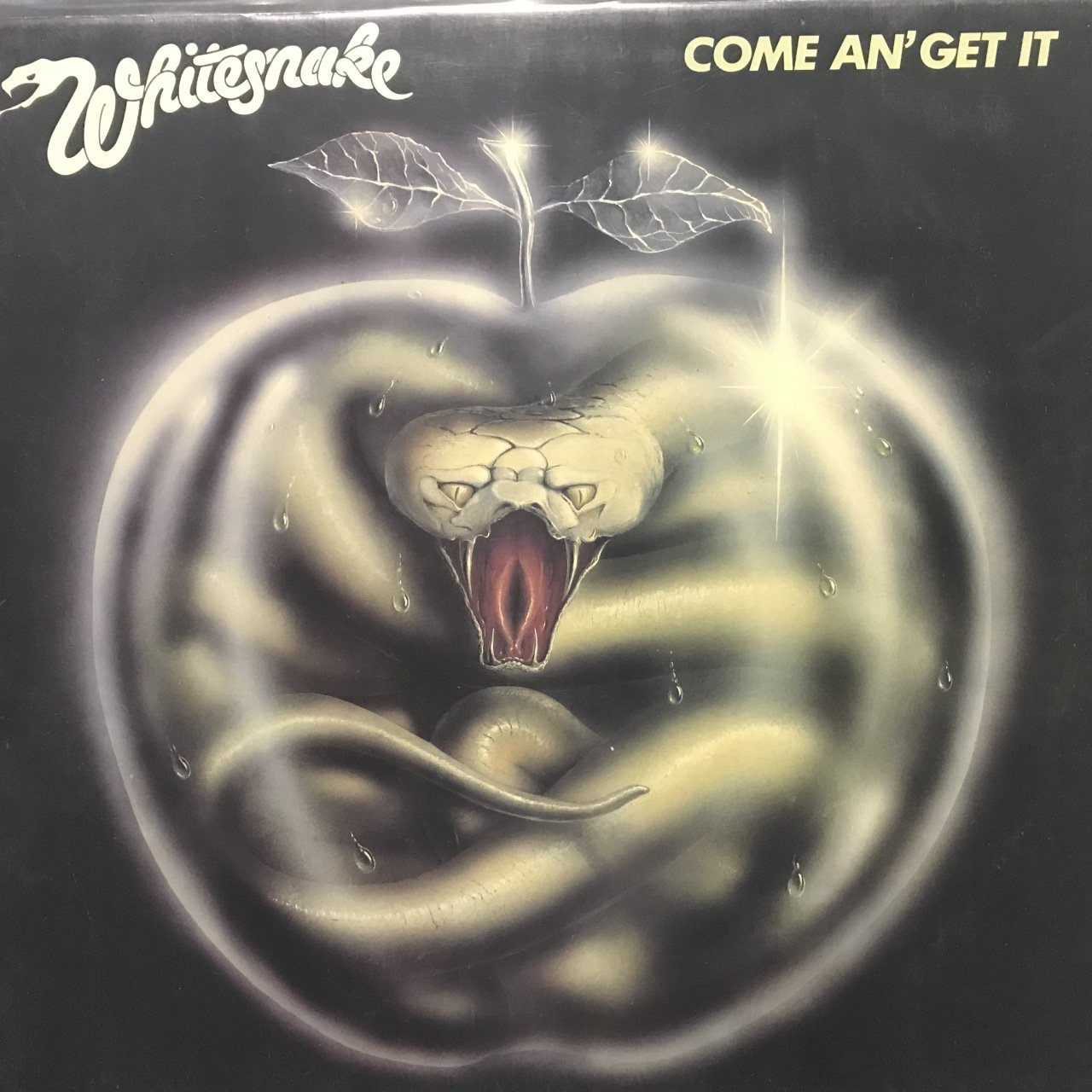Whitesnake Come An' Get It LP Plak