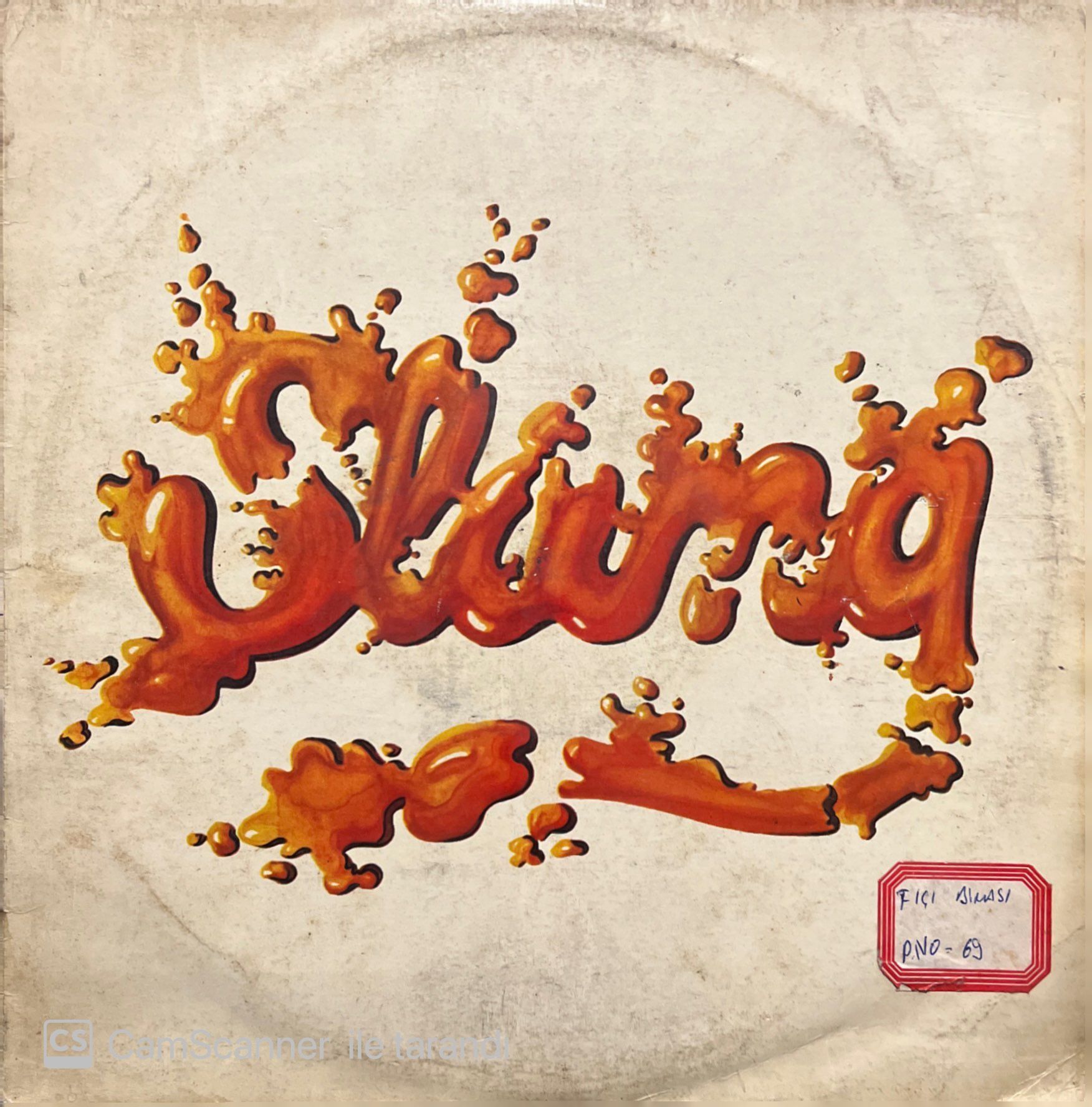 Slang LP Plak