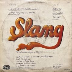 Slang LP Plak