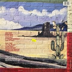 Bruce Springsteen Lucky Town LP Plak