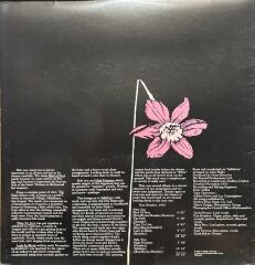 Uriah Heep Salisbury LP Plak