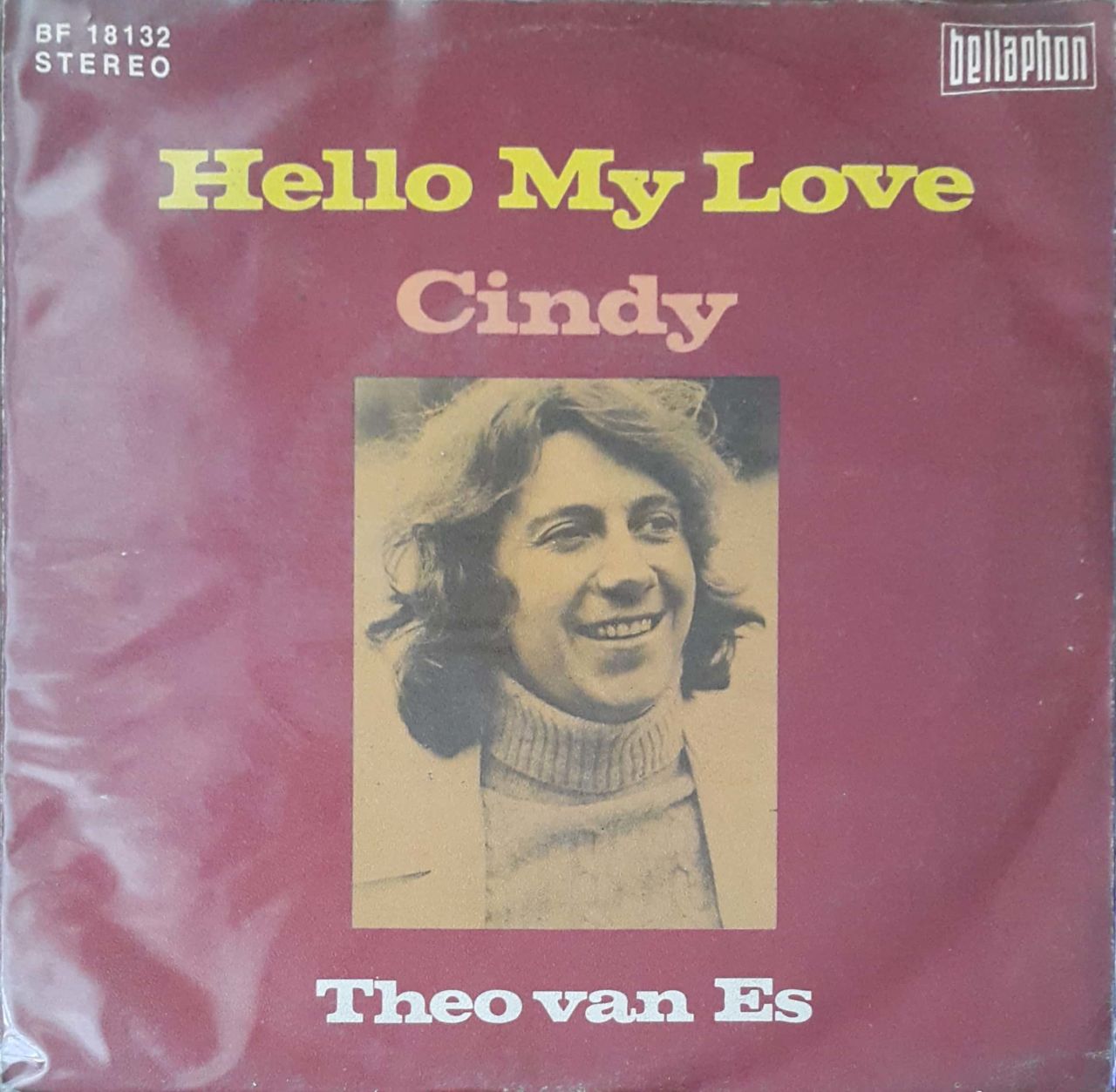 Theo Van Es  Cindy 45lik Plak