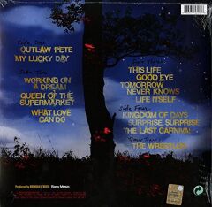 Bruce Springsteen Working On A Dream LP Plak