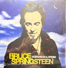 Bruce Springsteen Working On A Dream LP Plak