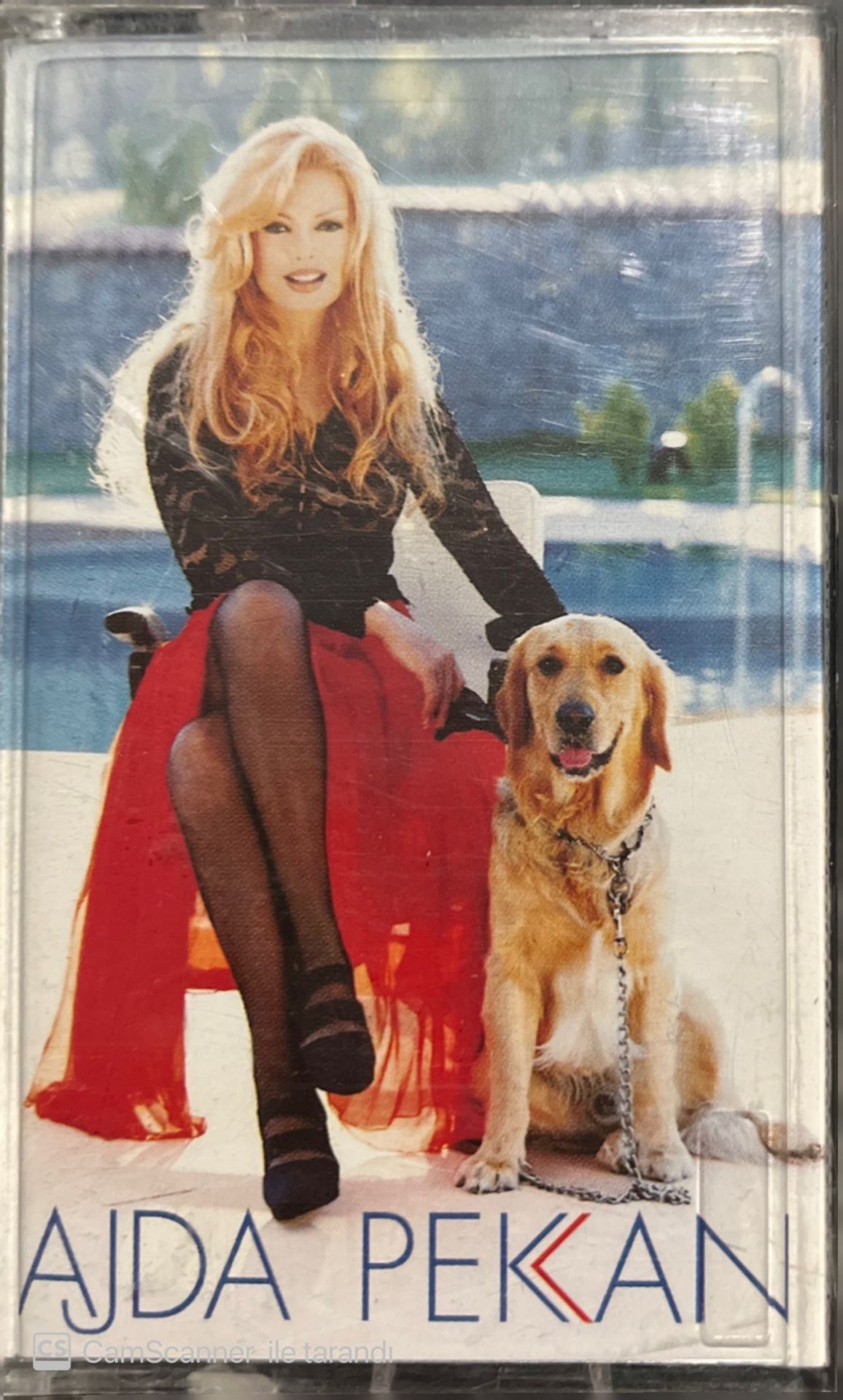 Ajda Pekkan Kaset