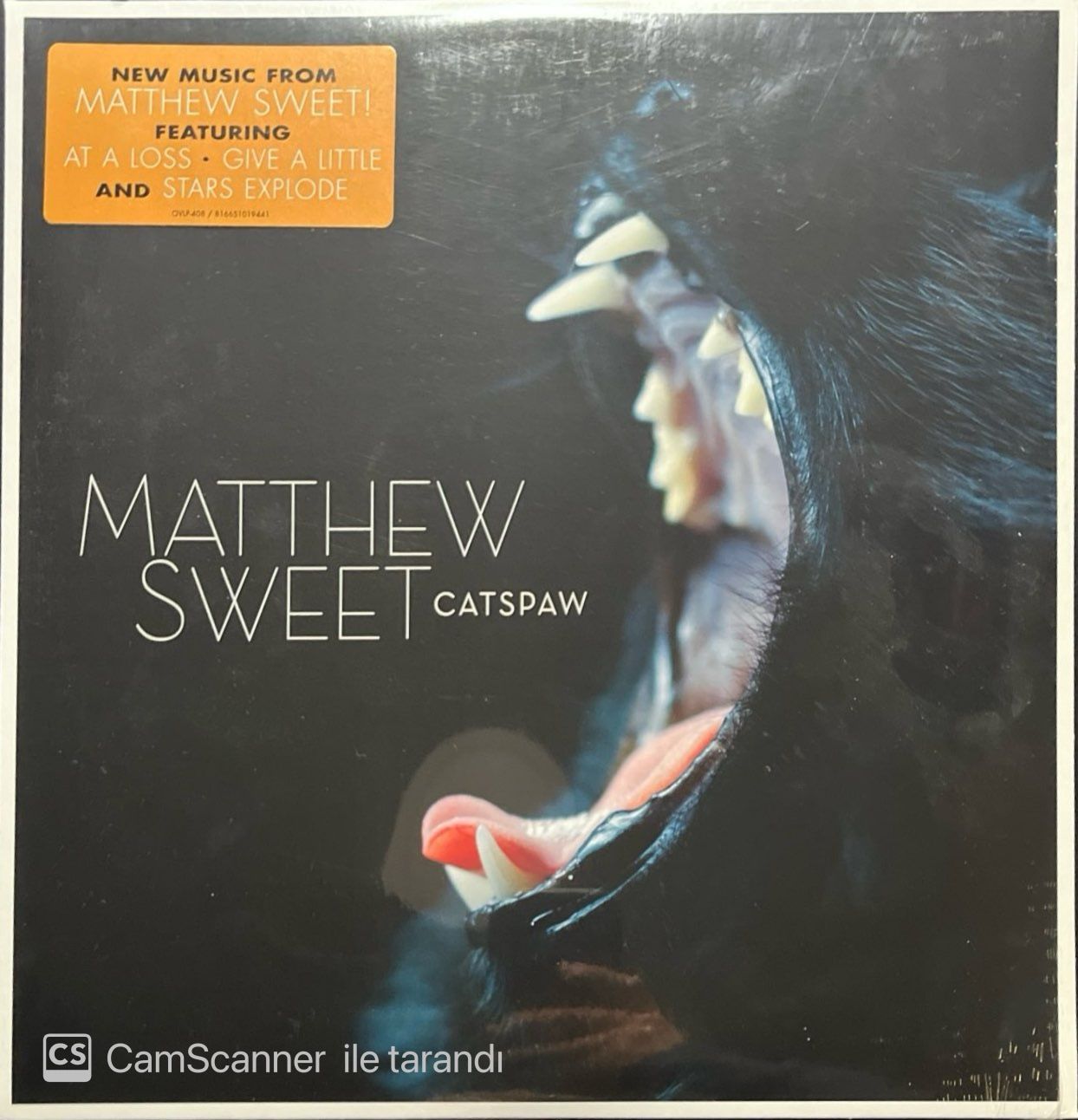 Matthew Sweet Catspaw LP Plak