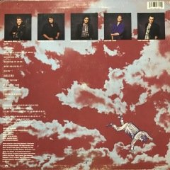 Hunter Dreams Of Ordinary  LP Plak
