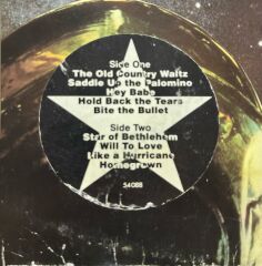 Neil Young American Stars 'n Bars LP Plak