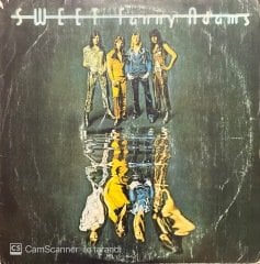 The Sweet Sweet Fanny Adams LP Plak