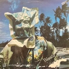 10 cc Bloody Tourist LP Plak