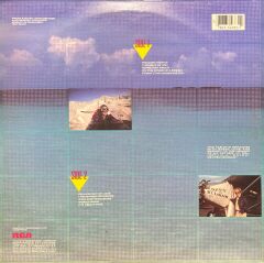 John Denver It's About Time LP Plak