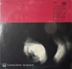 Any Trouble Wheels In Motion (Açılmamış Ambalajında Dönem Baskı) LP Plak