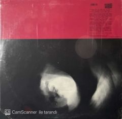 Any Trouble Wheels In Motion (Açılmamış Ambalajında Dönem Baskı) LP Plak